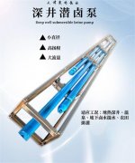 抽深井盐卤水用什么潜水泵？潜卤电泵材质怎样选择？